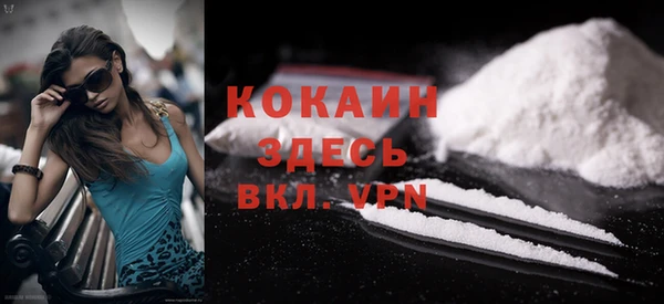 шишки Абаза