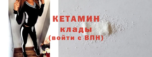 шишки Абаза