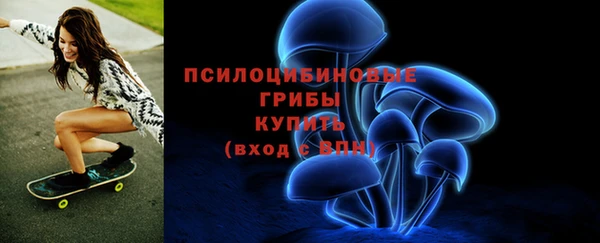 шишки Абаза
