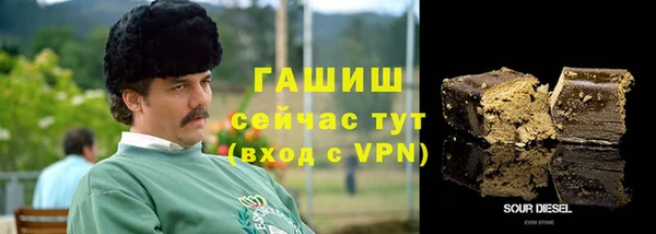 шишки Абаза
