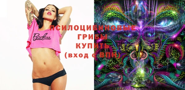 хмурый Алексин