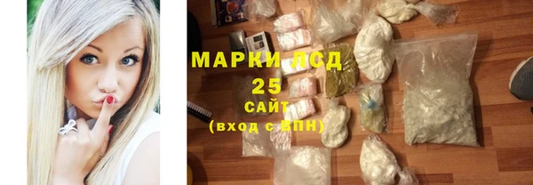 шишки Абаза