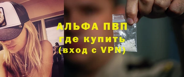 хмурый Алексин
