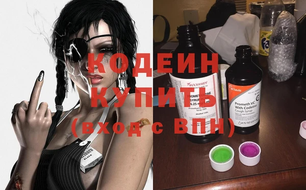 шишки Абаза