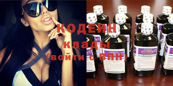 хмурый Алексин