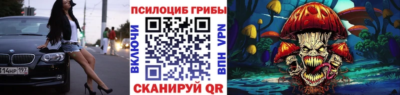 Псилоцибиновые грибы GOLDEN TEACHER  цена   Осташков 